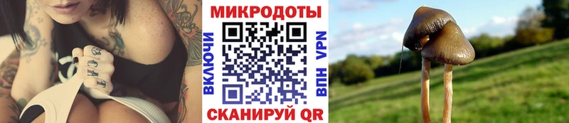 Псилоцибиновые грибы мухоморы  Стрежевой 