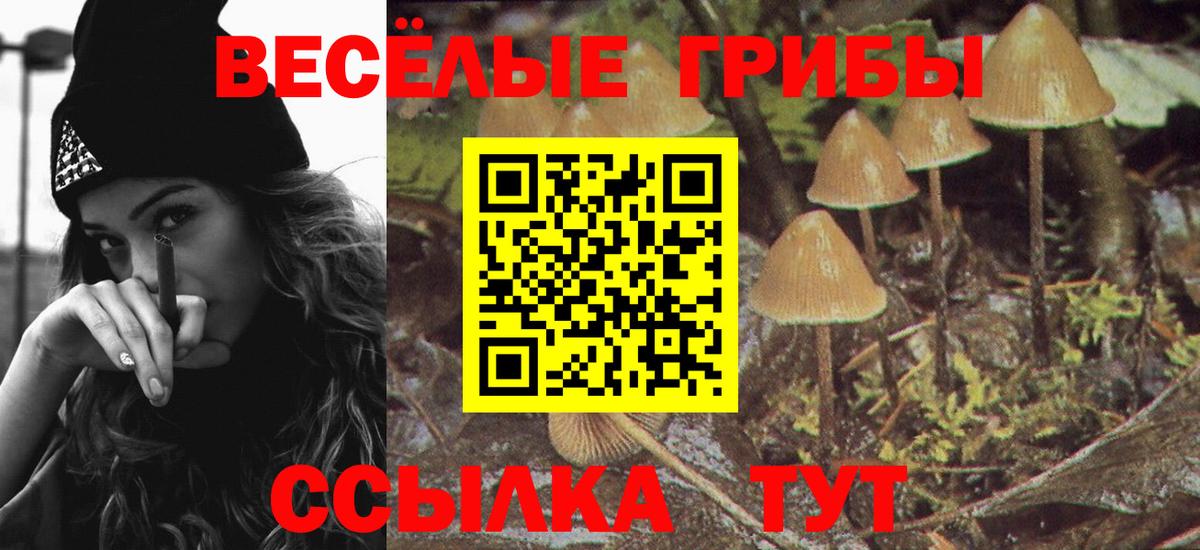 Галлюциногенные грибы Magic Shrooms  Галлюциногенные грибы ЛСД  Вход с VPN  Стрежевой 